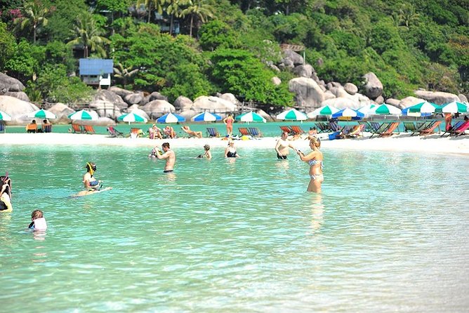 Koh Tao & Koh Nangyuan by Speed Boat (Snorkeling Trip From Koh Samui) - Pickup Arrangements