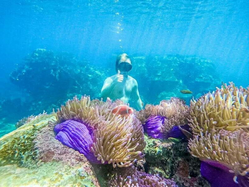 Koh Tao: Koh Nangyuan & Hidden Bays Snorkeling Tour w/ Lunch - Key Points