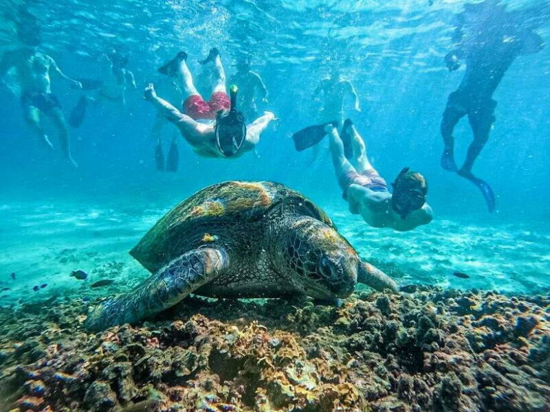 Koh Tao: Koh Nangyuan & Hidden Bays Snorkeling Tour w/ Lunch - An Honest Look at the Experience