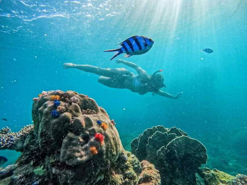 Koh Tao: Koh Nangyuan & Hidden Bays Snorkeling Tour w/ Lunch - Who Should Consider This Tour?