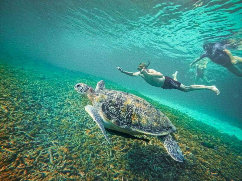Koh Tao: Koh Nangyuan & Hidden Bays Snorkeling Tour w/ Lunch - FAQ