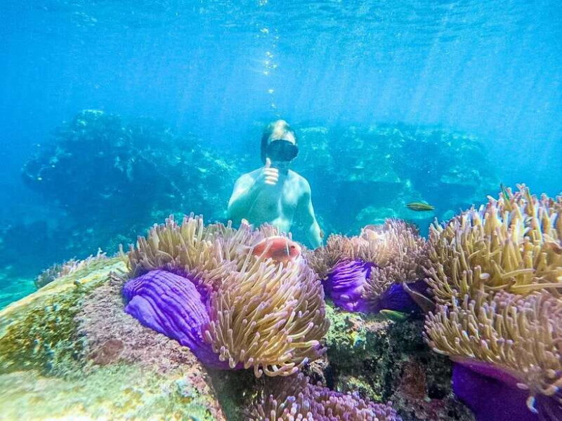 Koh Tao: Koh Nangyuan & Hidden Bays Snorkeling Tour W/ Lunch - Itinerary and Activities