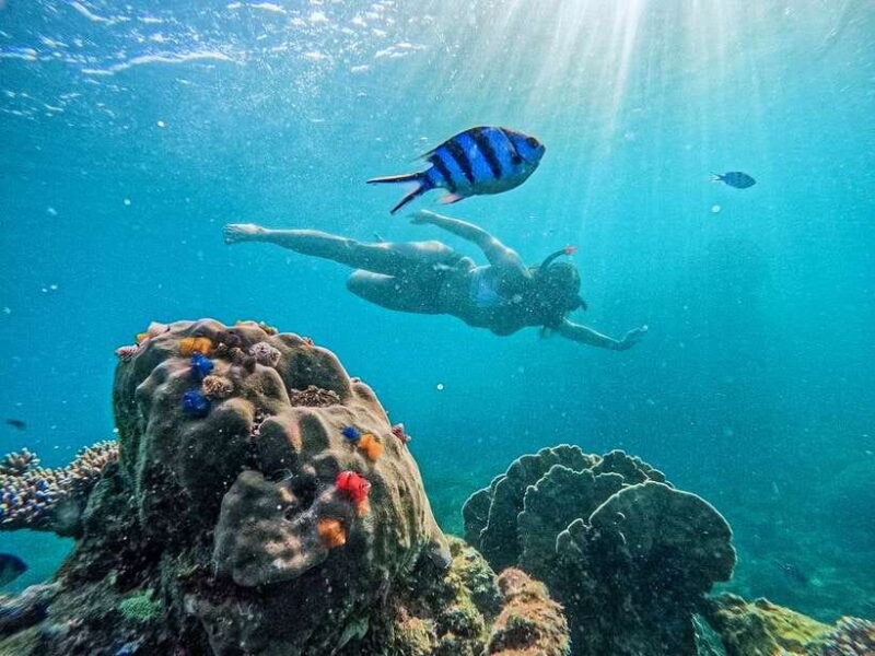 Koh Tao: Koh Nangyuan & Hidden Bays Snorkeling Tour W/ Lunch - Snorkeling Spots