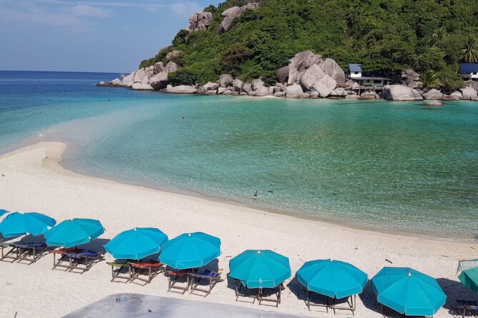 Koh Tao & Koh Nangyuan Snorkeling Trip By Speedboat From Koh Phangan - Additional Tour Options