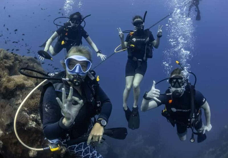 Koh Tao: PADI Premium Open Water Diver Course (2.5 Days) - An Honest Look at the Course Structure and Experience