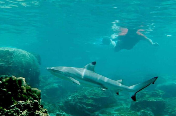 Koh Tao: Premium Snorkel Tour to Koh Nangyuan Bays by Oxygen - Booking and Cancellation Policy