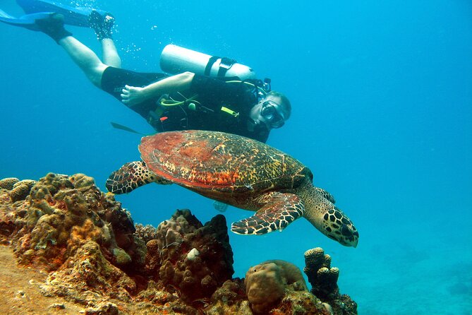 Koh Tao VIP Snorkelling Tour - Personalized Attention and Guidance