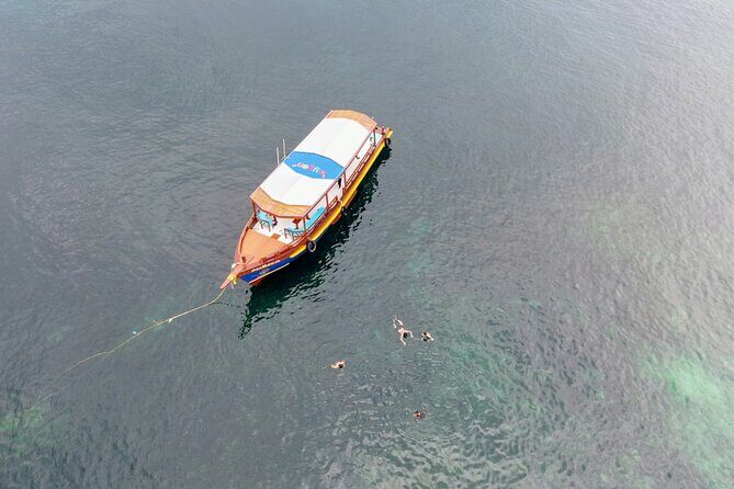 Koh Tao's First Light Snorkel Adventure with Oxygen Tours - Key Points