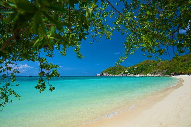 Koh Tao's First Light Snorkel Adventure with Oxygen Tours - What Travelers Love About This Tour