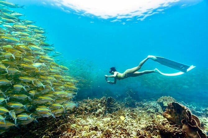 Koh Taos Top Snorkeling Spots by Vintage Wooden Boat - Key Points