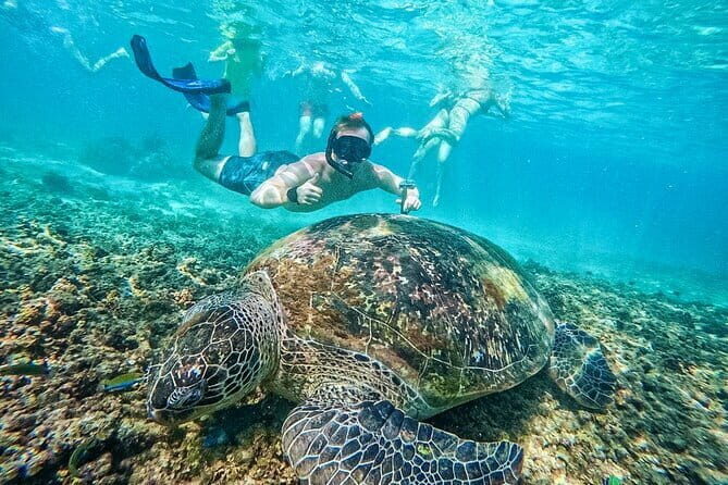 Koh Taos Top Snorkeling Spots by Vintage Wooden Boat - Who Is This Tour Best For?