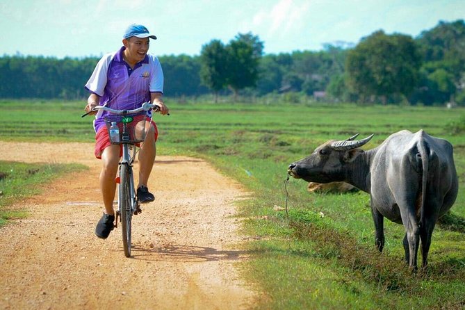 Koh Yao Noi Full Day Tour With Bike Ride & Lunch - Pickup and Timing