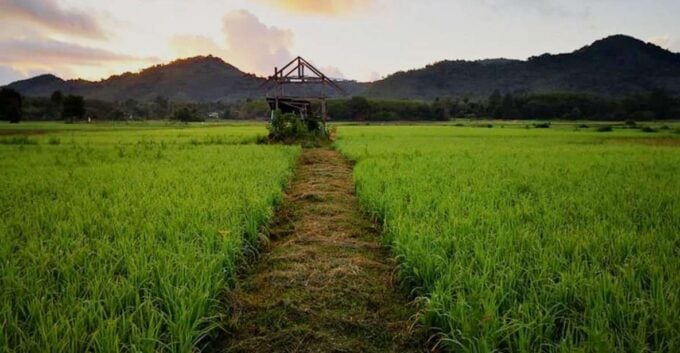 Koh Yao Noi: The Local Way of Life Eco Half-Day Tour - Customer Reviews