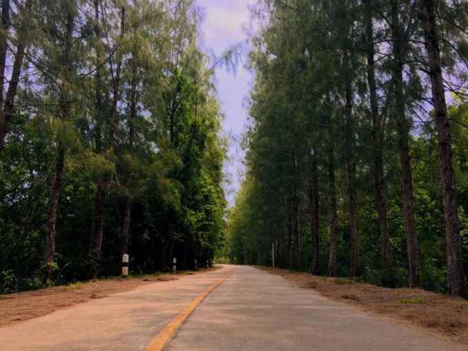 Koh Yao Noi: The Local Way of Life Eco Half-Day Tour - Discovering Lush Pastoral Landscape