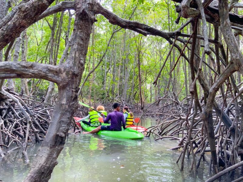 Koh Yao Yai: Klong Hia Mangrove Kayaking - Pickup and Safety Briefing