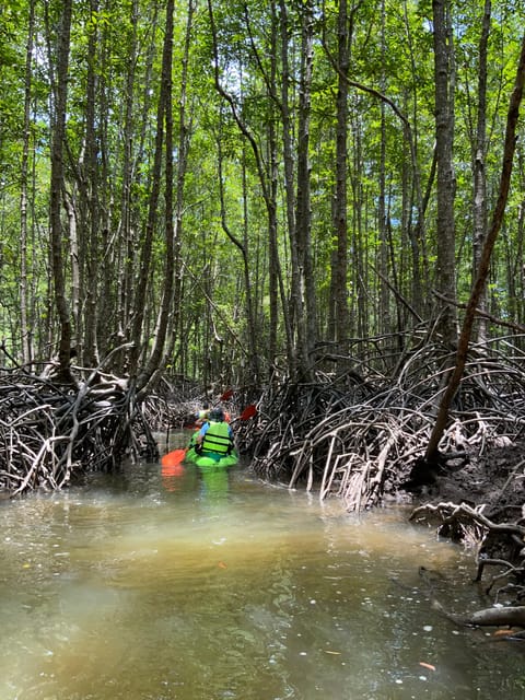 Koh Yao Yai: Klong Hia Mangrove Kayaking - Kayaking in Klong Hia Mangrove
