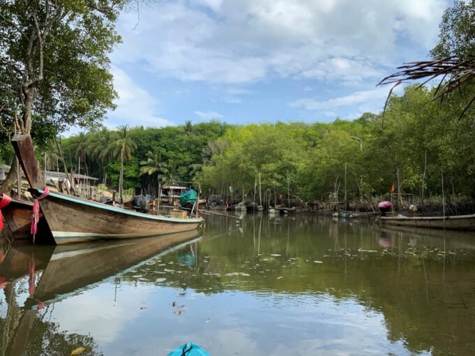Koh Yao Yai: Klong Hia Mangrove Kayaking - Tasting Fresh Young Coconut