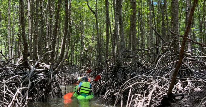 Koh Yao Yai: Klong Hia Mangrove Kayaking - Enjoying Thai Local Cuisine