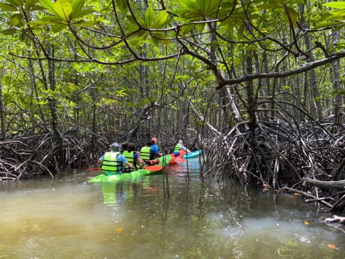 Koh Yao Yai: Klong Hia Mangrove Kayaking - Frequently Asked Questions