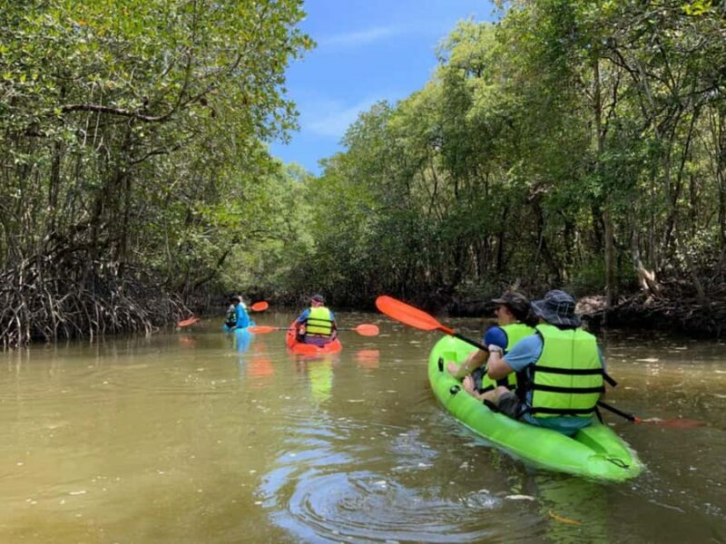 Koh Yao Yai : Mangrove Kayaking Adventure - Key Points