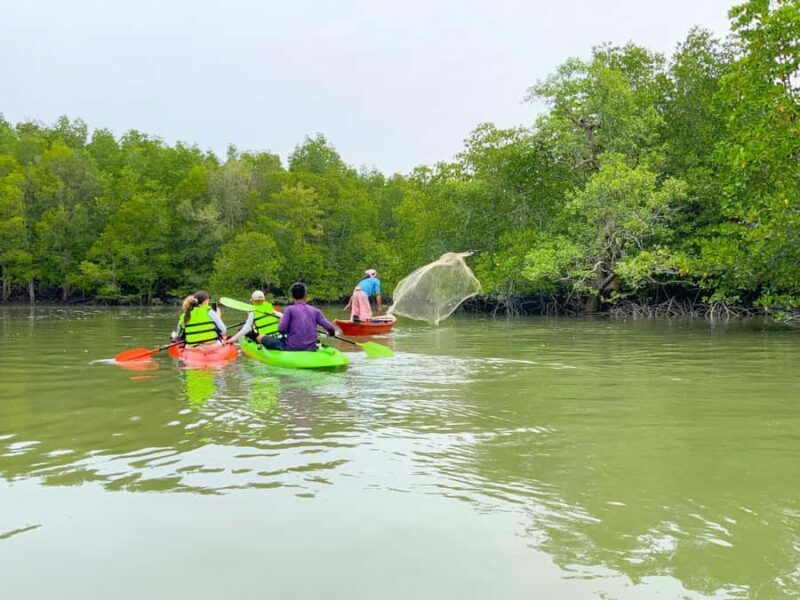 Koh Yao Yai : Mangrove Kayaking Adventure - Who Will Appreciate This Tour?