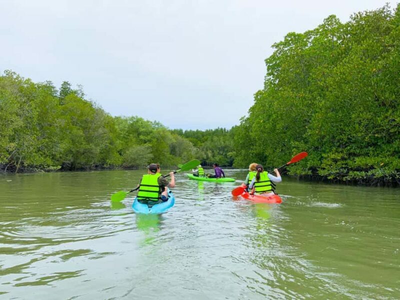 Koh Yao Yai : Mangrove Kayaking Adventure - Final Thoughts