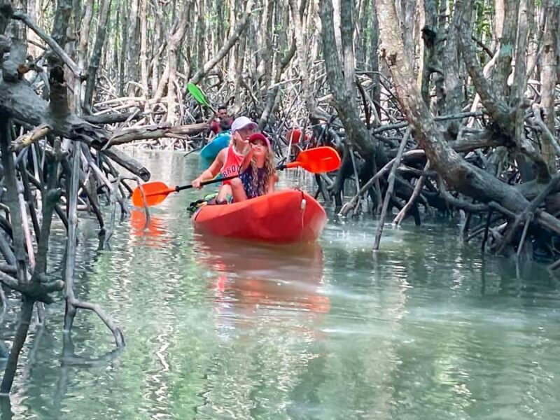 Koh Yao Yai : Mangrove Kayaking Adventure - FAQ