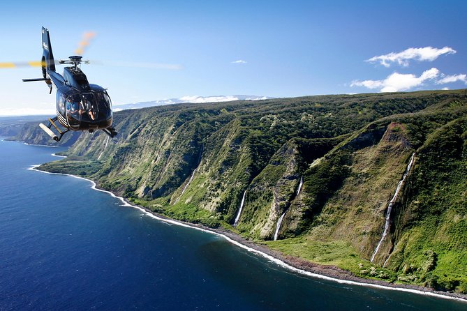 Kohala and Hamakua Coast Flight - Scenic Aerial Highlights