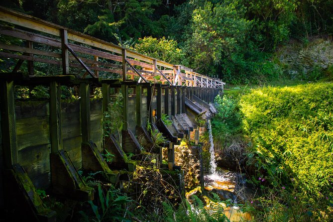 Kohala Waterfalls Small Group Adventure Tour - Pickup and Drop-off Locations