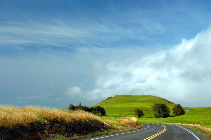 Kohala Waterfalls With Exclusive Landing Helicopter Tour - Key Points