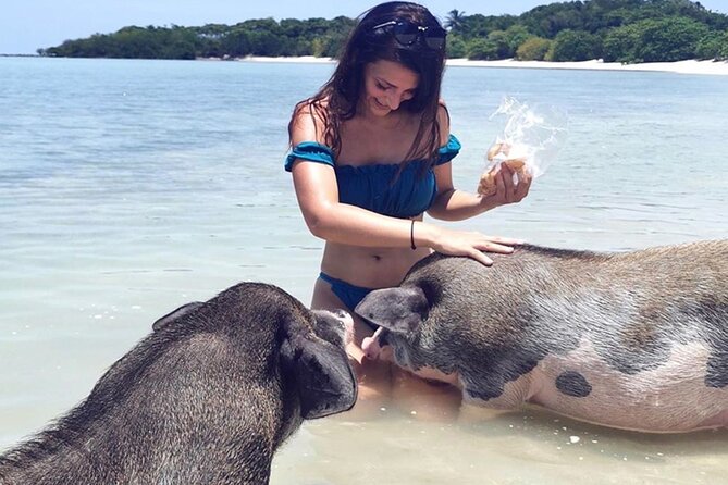 Kohsamui.Tours - Pig Island Snorkeling Eco Tour by Speed Boat - Schedule and Drop-off