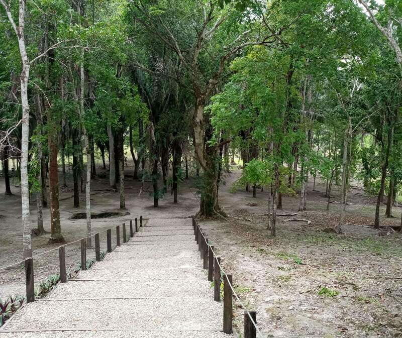 Kohunlich Mayan Ruins: With Professional Native Guides - Who Should Consider This Tour?