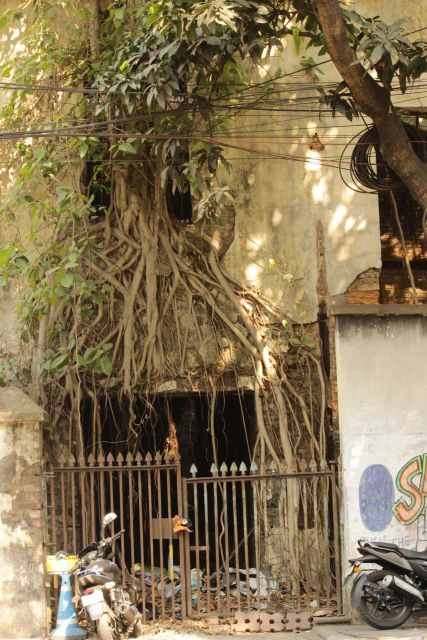 Kolkata: A Sea of Faces and A Thousand Places - Customer Feedback and Ratings