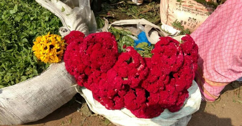 Kolkata: Half-Day Morning Tour w/ Flower Market - A Step-by-Step Breakdown of the Tour