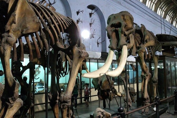 Kolkata Heritage City Tour - Experiencing Kolkatas Cultural Heritage