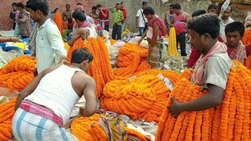 Kolkata: Private Tour of City of Joy With Licensed Guide - Tour Highlights