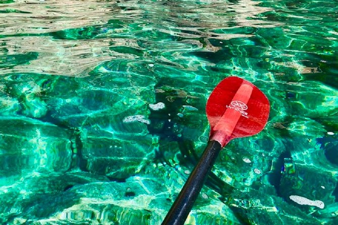 KoločEp Island: Guided Kayak, Swim & Snorkle Day Tour - Hiking on Koločep Island