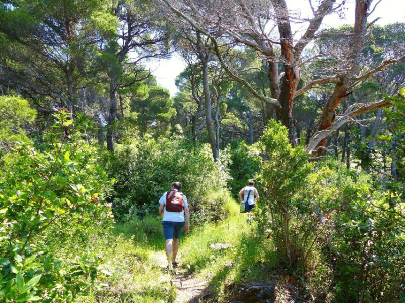 Kolocep Island: Hiking & Swimming Day Trip - Customer Reviews