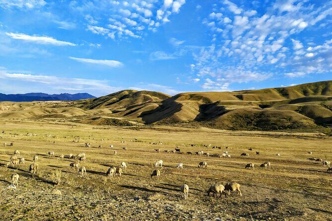 Kolsai / Kaindy Lake / Charyn Canyon one-day tour (choose 2 of the 3 sights) - FAQ