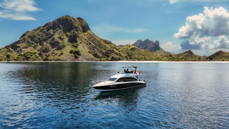 Komodo Full Day Speedboat Tour From Labuan Bajo - Inclusions and Exclusions