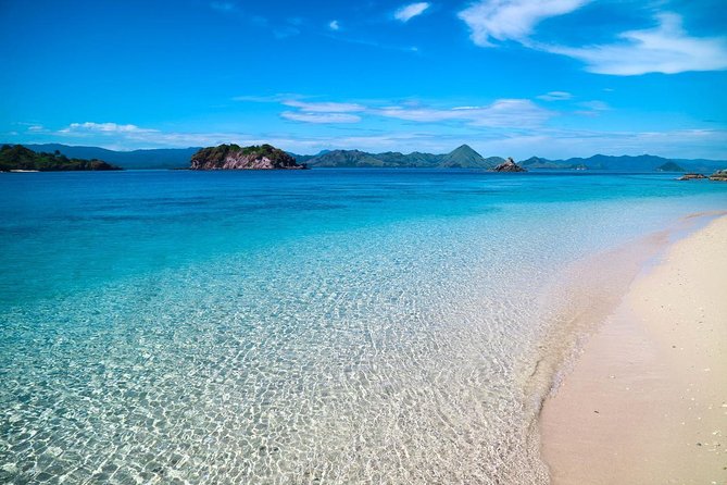 Komodo Island Adventure From Bali (Day Trip) - Booking and Reservations