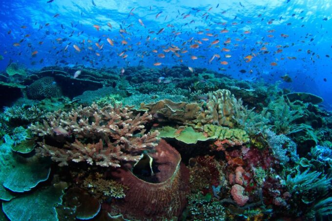Komodo Island: Komodo Dragons & Islands Day Tour - Booking and Cancellation Policy