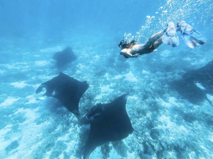 Komodo Island: Komodo Dragons & Islands Day Tour - Tour Duration and Timing
