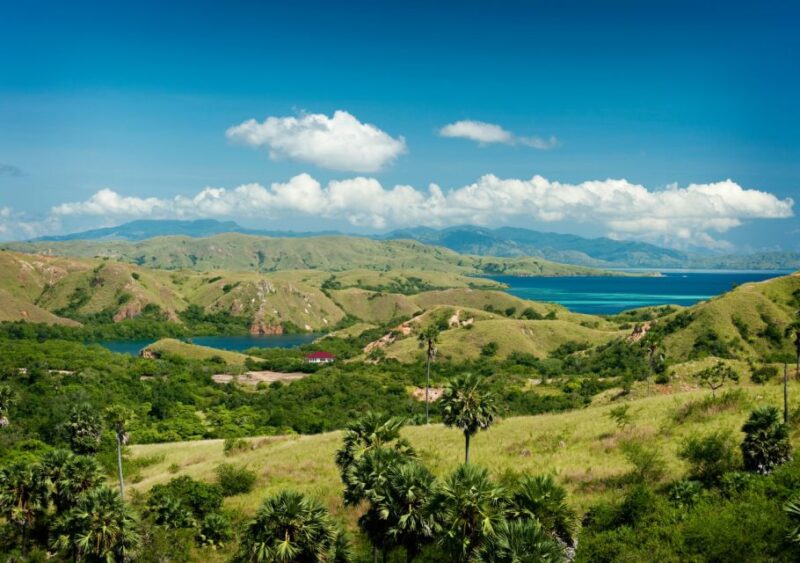 Komodo Island: Private 3-Day Tour With Boat and Hotel Stay - Inclusions and Options