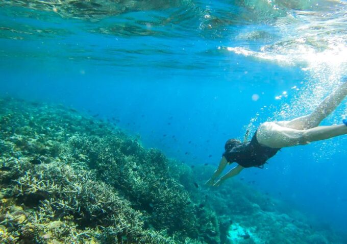 Komodo Island: Private 3-Day Tour With Boat and Hotel Stay - Airport Pickup and Boat Transfer
