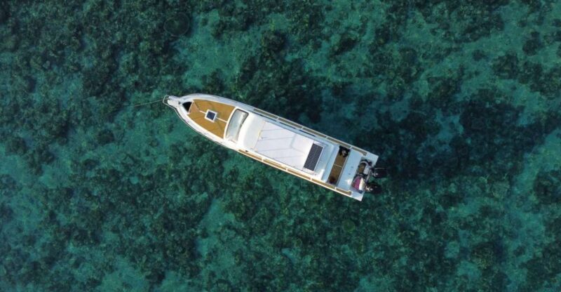 Komodo Island: Private Day Tour by Speedboat - Tour Experience