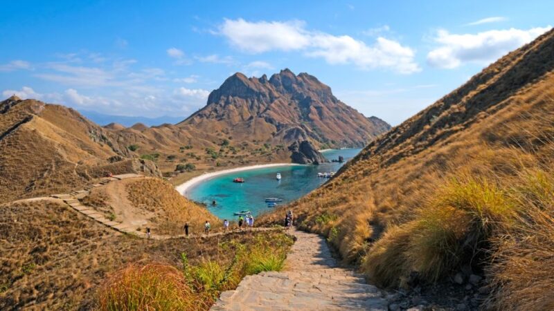 Komodo Island: Private Day Tour by Speedboat - Inclusions