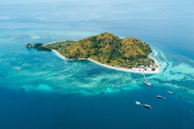 Komodo Island: Private Day Tour by Speedboat - Important Information