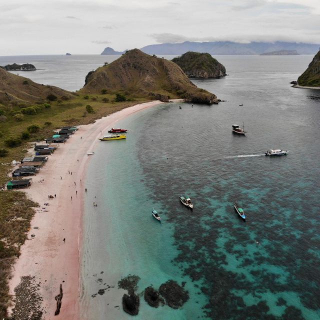 Komodo Island Tour 2Days 1Night - Itinerary and Activities