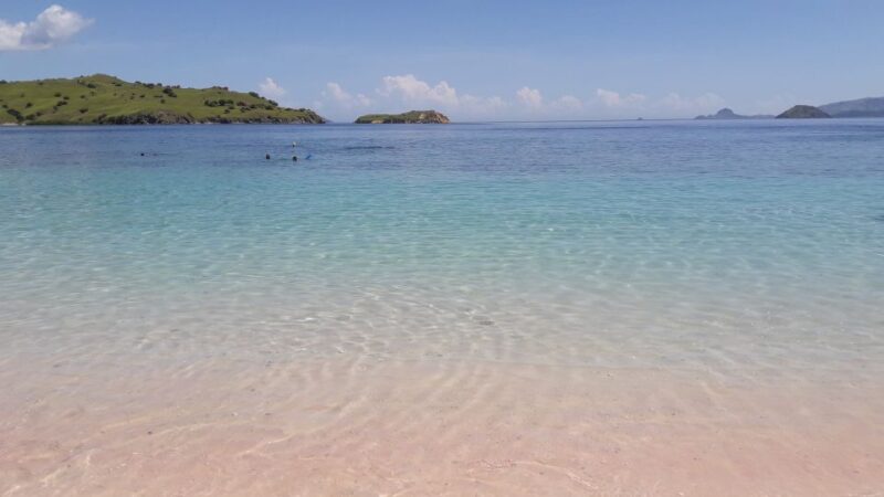 Komodo Island Tour: 3Days 2Nights - Included Services